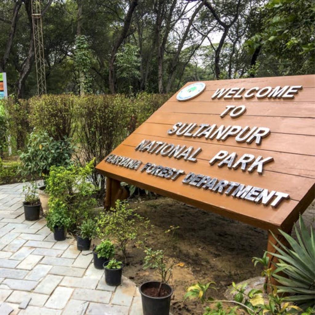 Sultanpur National Park